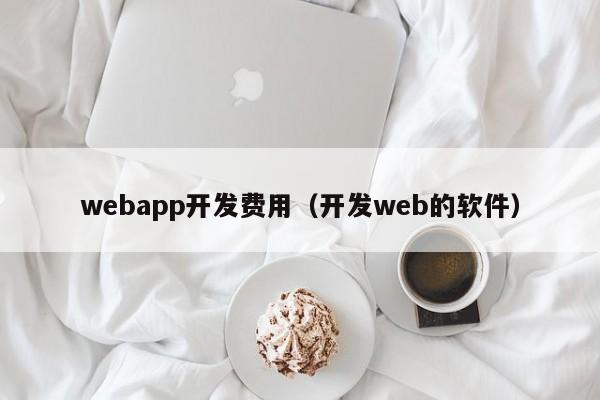 webapp开发费用(开发web的软件)