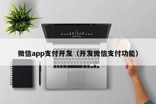 微信app支付开发(开发微信支付功能)