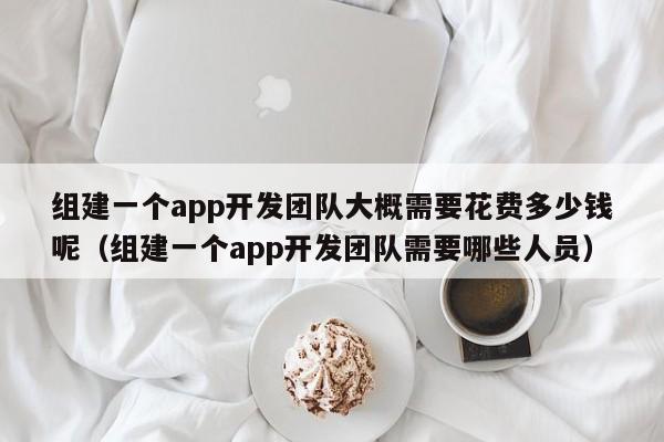 组建一个app开发团队大概需要花费多少钱呢(组建一个app开发团队需要哪些人员)