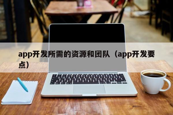 app开发所需的资源和团队(app开发要点)