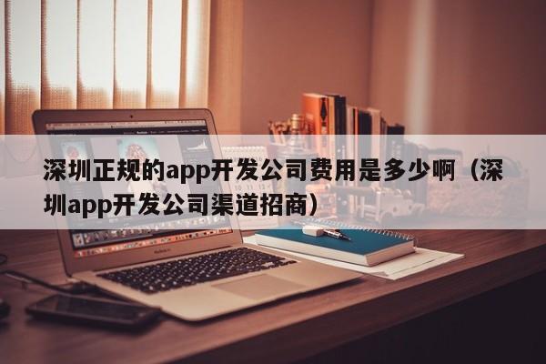 深圳正规的app开发公司费用是多少啊(深圳app开发公司渠道招商)