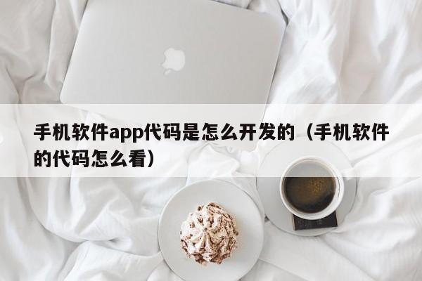 手机软件app代码是怎么开发的(手机软件的代码怎么看)