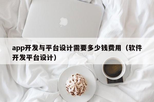 app开发与平台设计需要多少钱费用(软件开发平台设计)